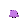 "Ditto" Icon