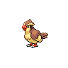 "Pidgey" Icon