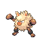 Primeape