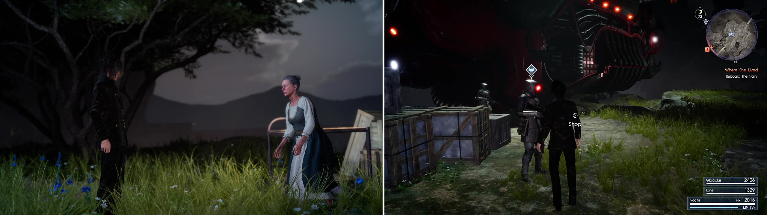 Speak to the House Fleuret retainer (left) to learn more about Luna and then don’t forget to shop for healing items before setting out (right).