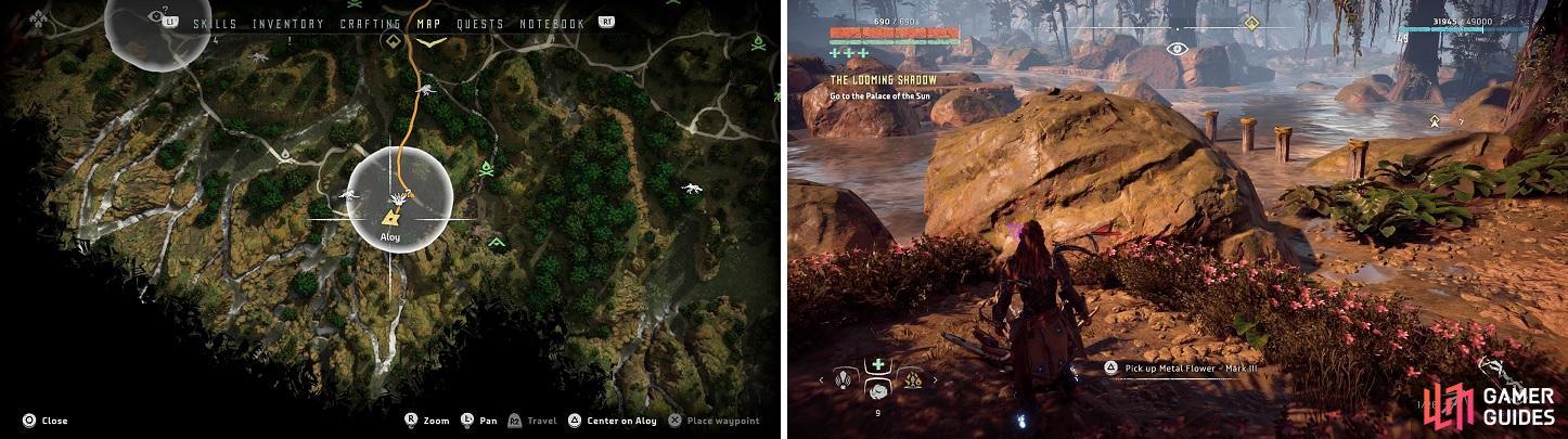 The location of the Metal Flower, both on the map (left) and in-game (right).