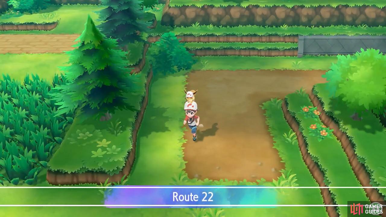 Victory Road is so near, yet so far.