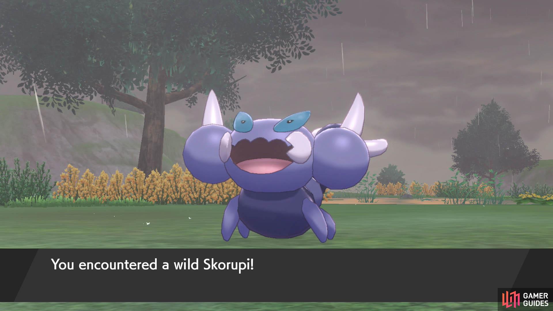 Get used to hearing Skorupi’s cry as you explore the wetlands!