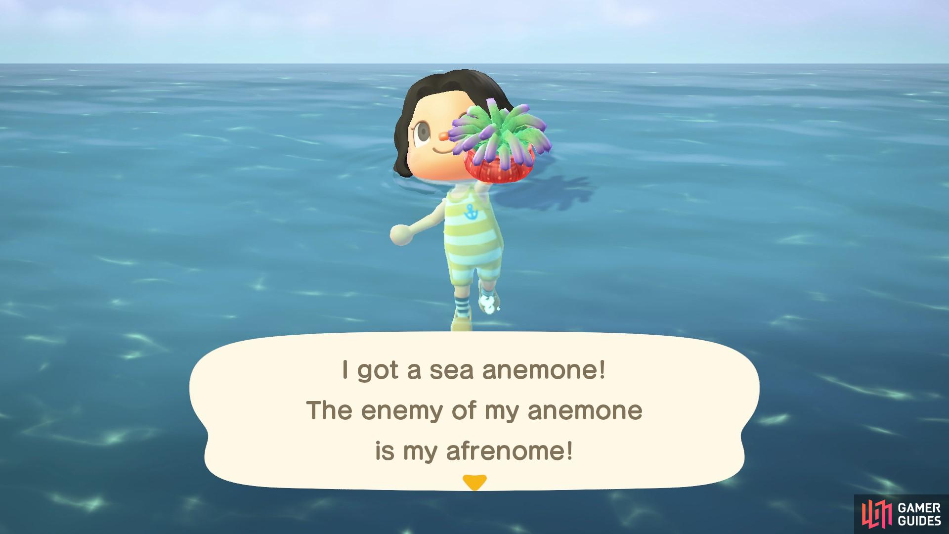 The Sea Anemone is an easy catch!