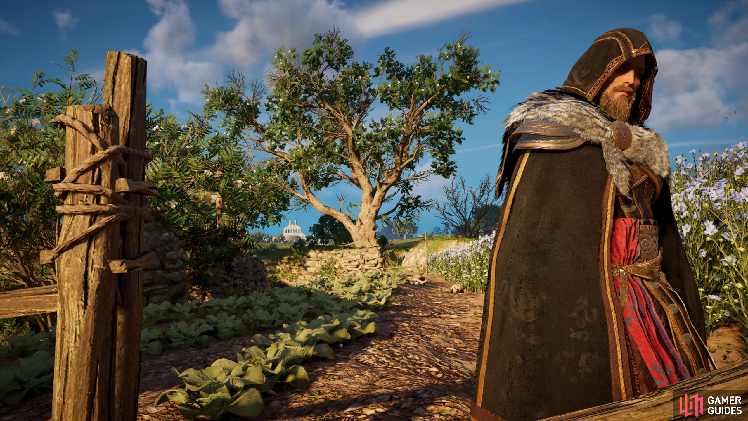 Assassin's Creed: Valhalla Screenshot