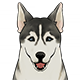 Northland_Hound_Icon_Wildlife_Housing_Genshin_Impact.png