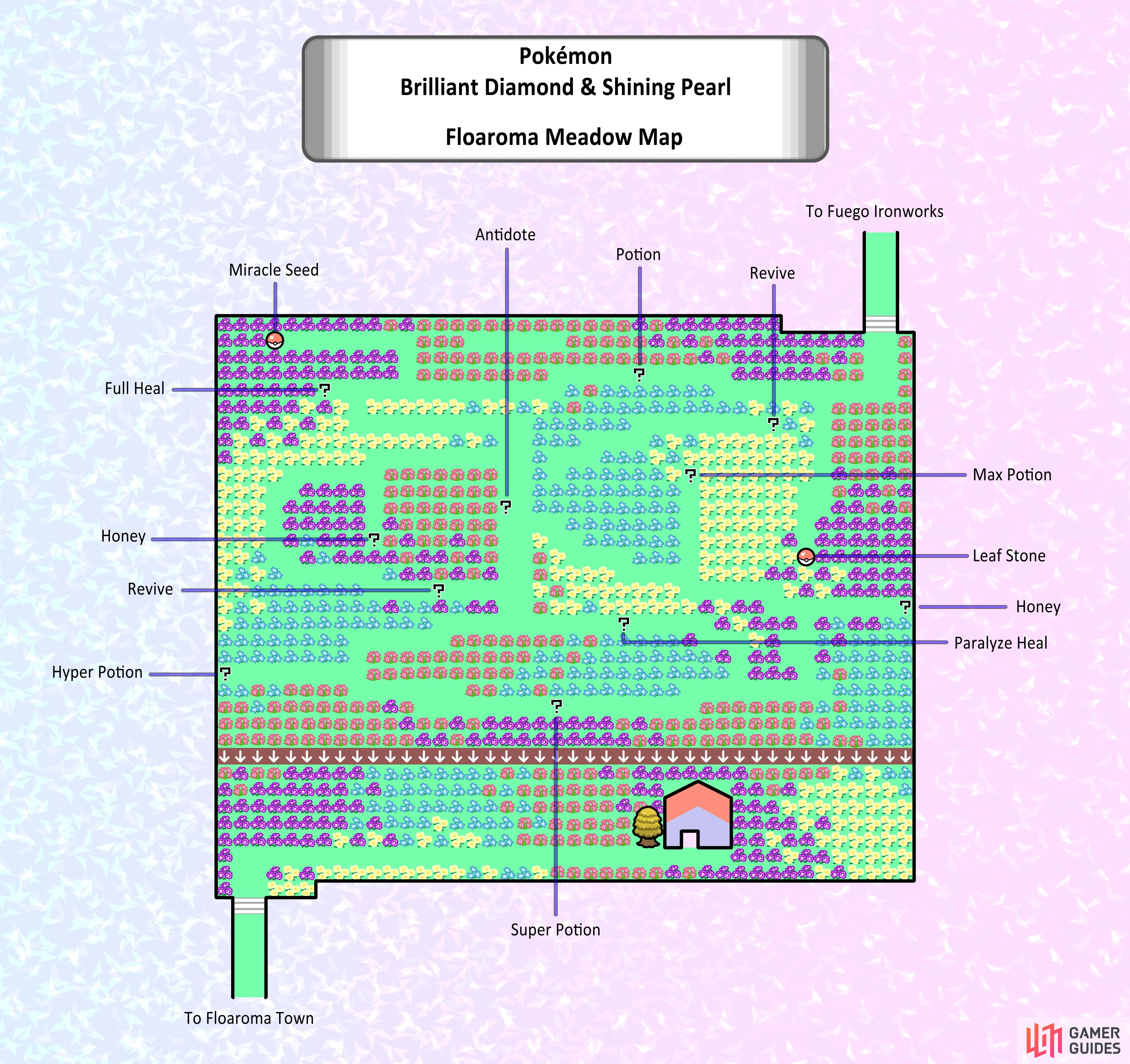 Floaroma Meadow hidden items map.