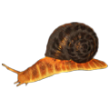 Salamander_Snail_Harvesting_Gathering_New_World.png