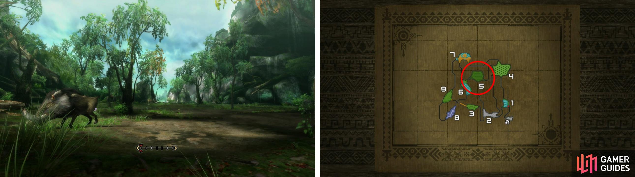 The Legend of Zelda: Skyward Sword Screenshot