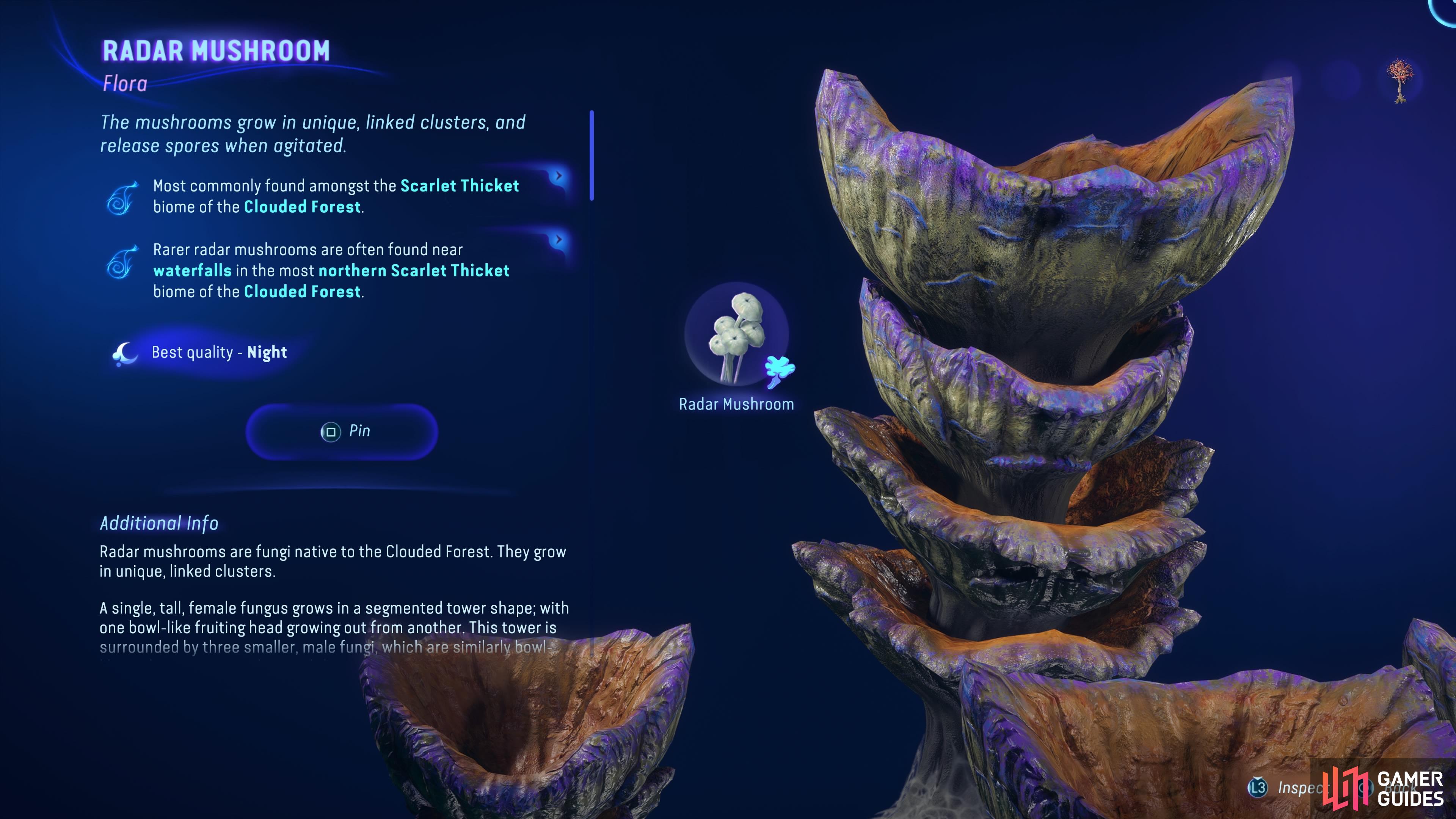 The Radar Mushroom is another resource that is confusing on how to harvest it.