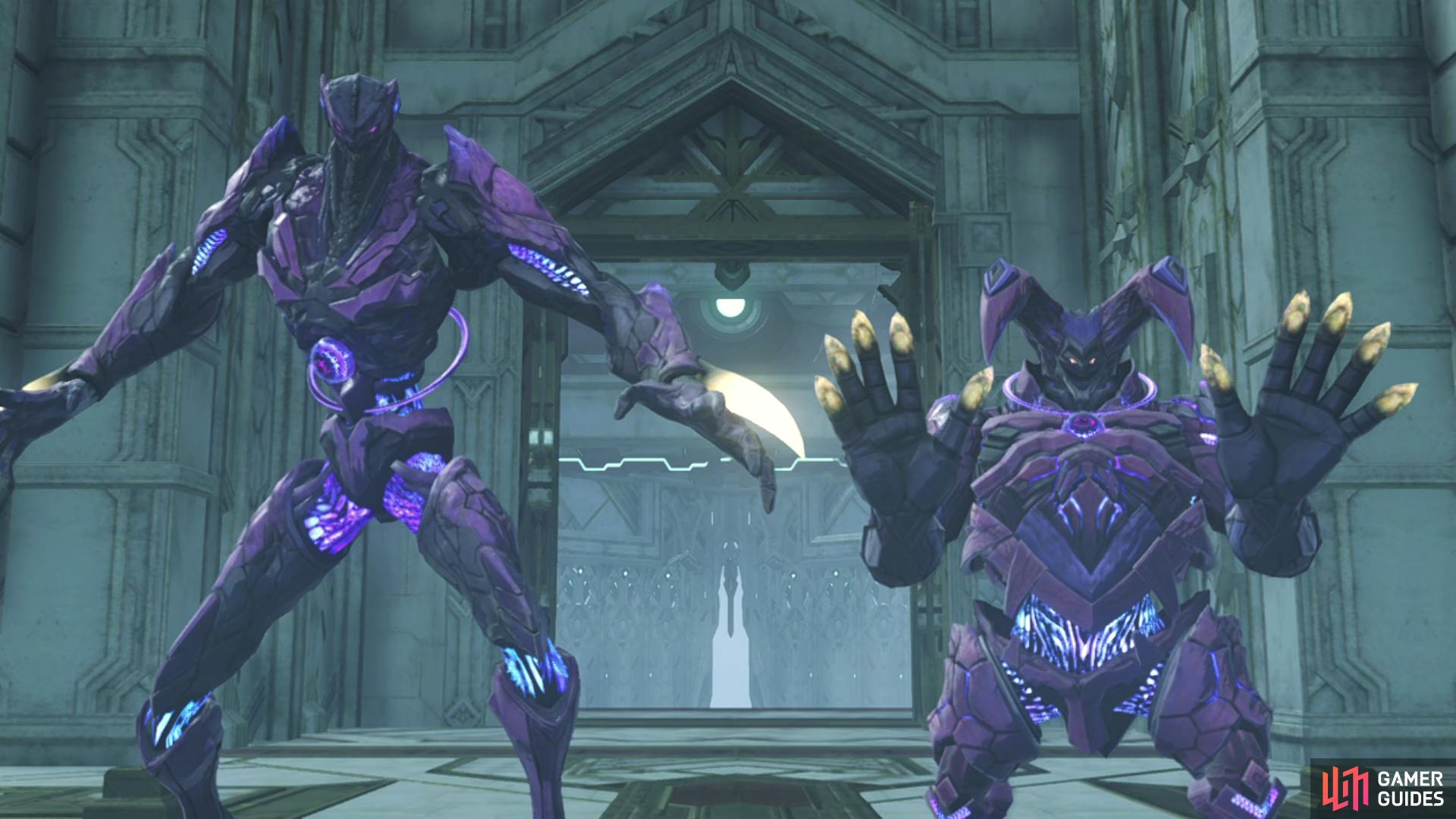 Moebius D and J are a boss battle in Chapter 6 of Xenoblade Chronicles 3.