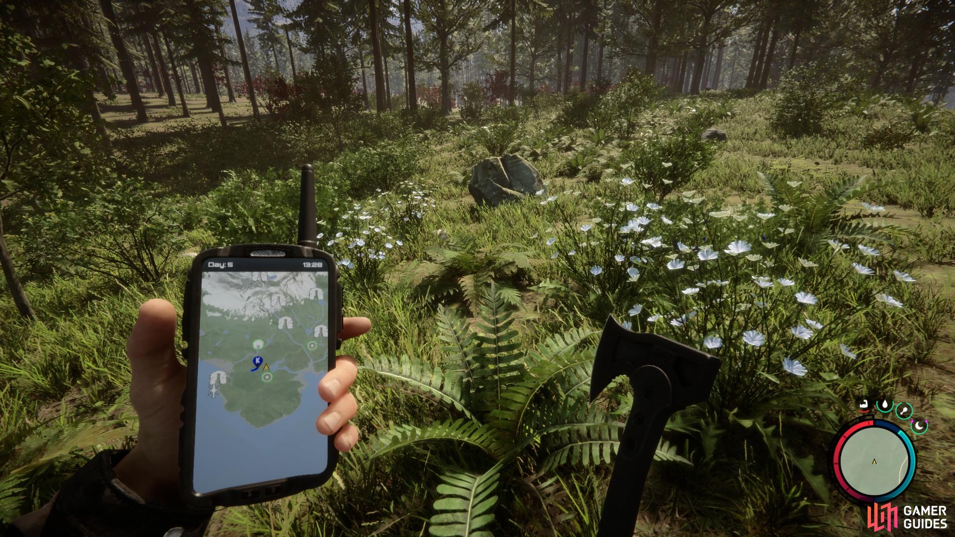 The areas near the food bunker are very flat and filled with food and medicine plants.