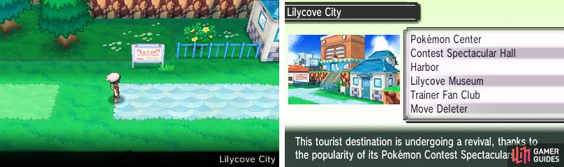 A popular port town; your passageway to the great Hoenn seas (shudder).