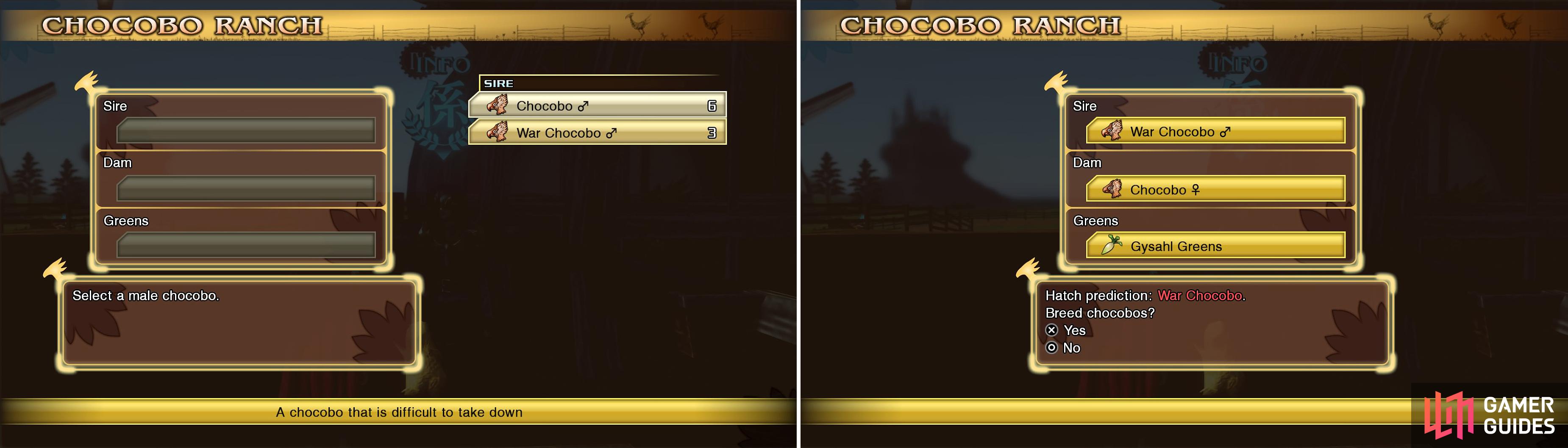 You can select what type of chocobos to breed and with what Greens. Different combinations yield different chocobo types.