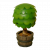 "Decorative Shrub" icon