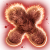 "Reason's Grasp" icon