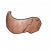 "Metal Helm (Rare) Recipe" icon