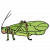 "Giant Coconut Locust" icon