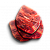 "Chitinous shell" icon