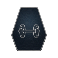 Icon for <span>Weight Lifting - Rank 1</span>