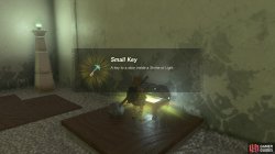 small_key-3ea46421.jpg