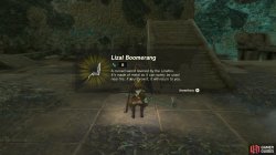 lizal_boomerang39933-590c87ea.jpg