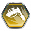 Trophy/Achievement Icon